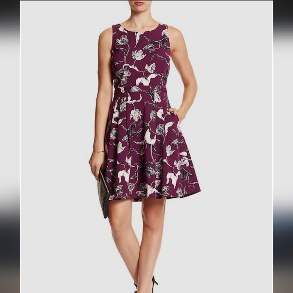 Banana Republic,Cherry Color Fit Flare Dress, Size 0